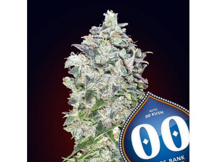 Auto 00 Kush 3 u fem 00 Seeds