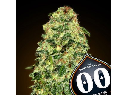 California Kush – 00 Seeds – AUTO