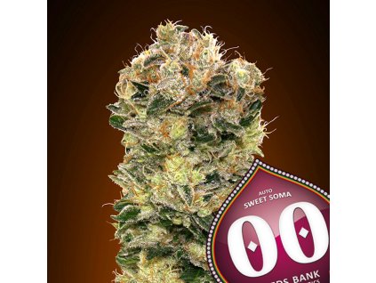 Auto Sweet Somango 3 u fem 00 Seeds