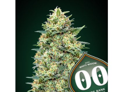 Auto White Widow 3 u fem 00 Seeds