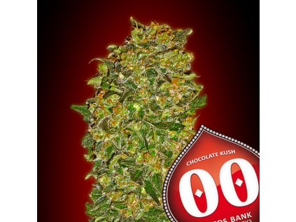 Chocolate Kush 3 u fem 00 Seeds