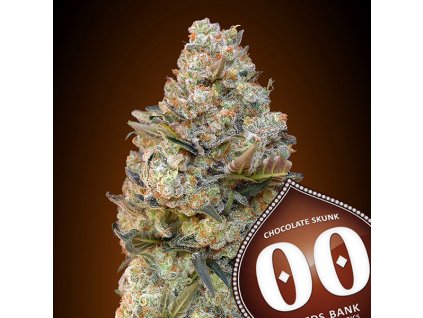 Chocolate Skunk – 00 Seeds – fem