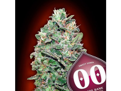 Sweet Somango 3 u fem 00 Seeds