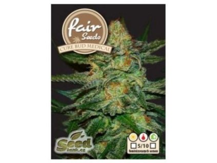 fair seeds CURE BUD MEDICAL feminizovana seminka konopi