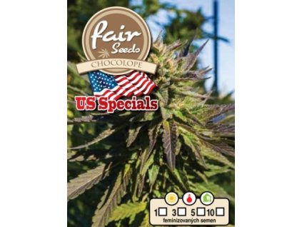 fair seeds chocolope feminizovana seminka konopi