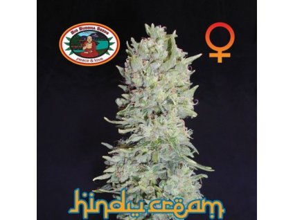 hindu cream feminizovana