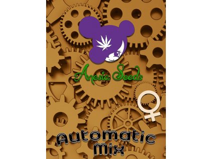 XXL Automatic Mix