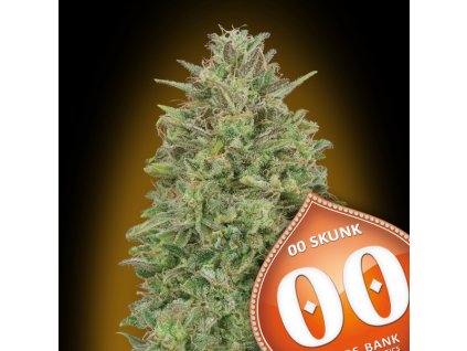 00 Skunk – 00 Seeds – fem