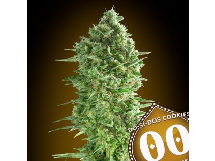 Do Si Dos Cookies 3 u fem 00 Seeds (1)