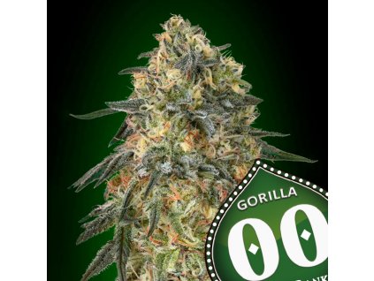 Gorilla 3 u fem 00 Seeds