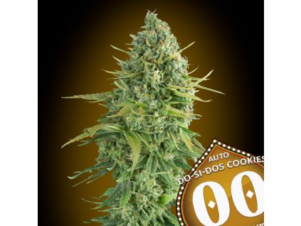 Auto Do Si Dos Cookies 3 u fem 00 Seeds