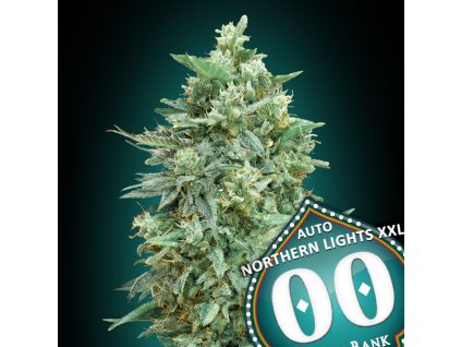 Auto Northern Lights XXL 3 u fem 00 Seeds