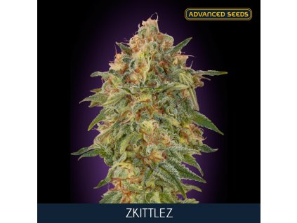 Zkittlez 100 u fem Advanced Seeds