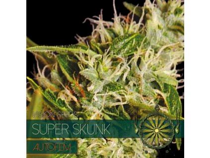autofem vision seeds super skunk 500x500 1