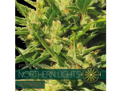 autofem vision seeds northern lights 500x500 1