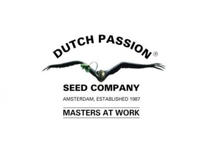 dutch passion 512x270