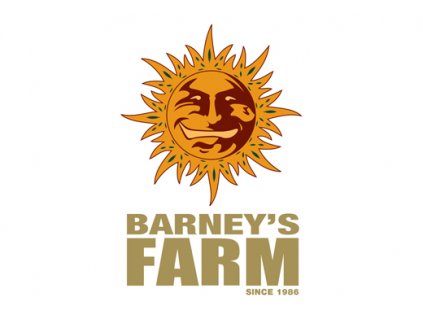 barneys farm