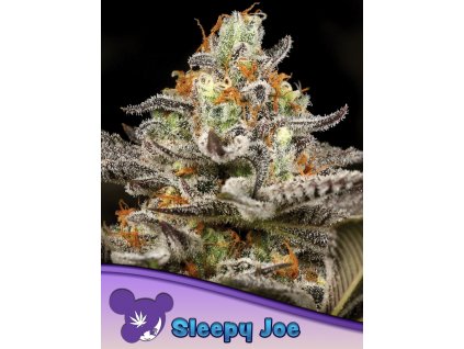 Sleepy Joe 600x800 1