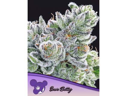 Sour Betty 600x800 1