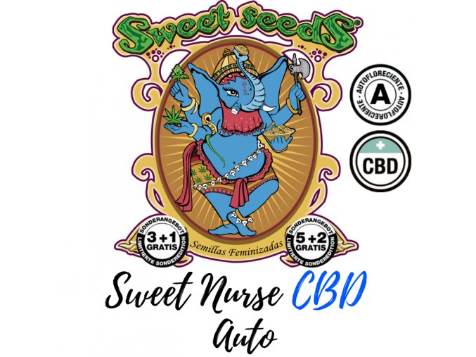 sweet-nurse-cbd-auto-sweet-seeds-feminized-semena-konopi-marihuany