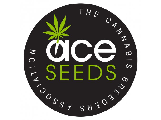ace seeds 800x1200 0