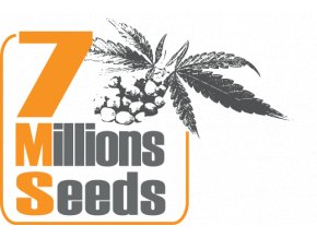 7 Millions Seeds
