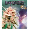 banshee nukaseeds nahled