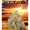 Cleopatra nukaseeds nahled