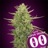 Auto Super Skunk 3 u fem 00 Seeds