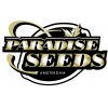 paradise logo