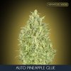 Auto Pineapple Glue 1 u fem Advanced Seeds