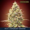 Auto Strawberry Banana 1 u fem Advanced Seeds