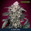 Slurricane 5 2 u fem Advanced Seeds