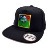 Gorra LSD