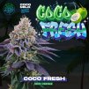 Coco Fresh 6 u fem Perfect Tree (1)
