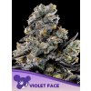 Violet Face 600x800 2