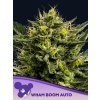 Wham Boom Auto 600x800 1