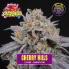 cherry hills feminized seeds perfecttree