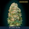 Afghan Skunk – Advanced Seeds – feminizovaná semena