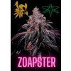 ZOAPSTER