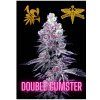 DOUBLE GUMSTER