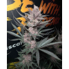 7sws971g