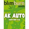 blimburn seeds AUTO AK