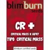 certified blimburn seeds CR PLUS feminized