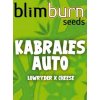 blimburn seeds AUTO kabrales