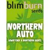 blimburn seeds AUTO northern