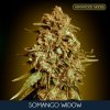 Somango Widow 5 2 u fem Advanced Seeds