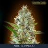 Auto Somango