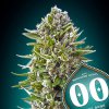 Auto Northern Lights 3 u fem 00 Seeds