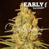 critical sensi star early 4